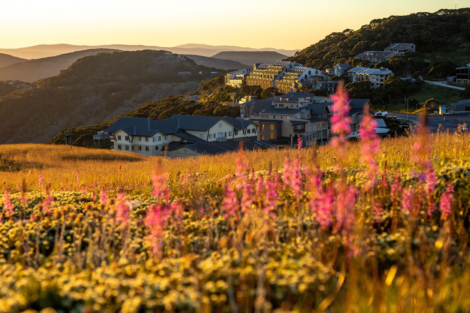 Mt Hotham village golden hour summer