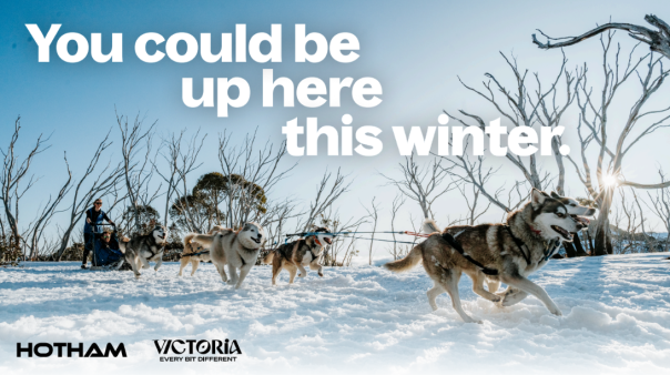 Dogs pulling sled in snow with text 'You could be up here this winter