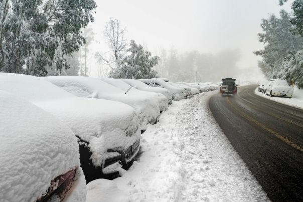 row of cars covered in snow next to road