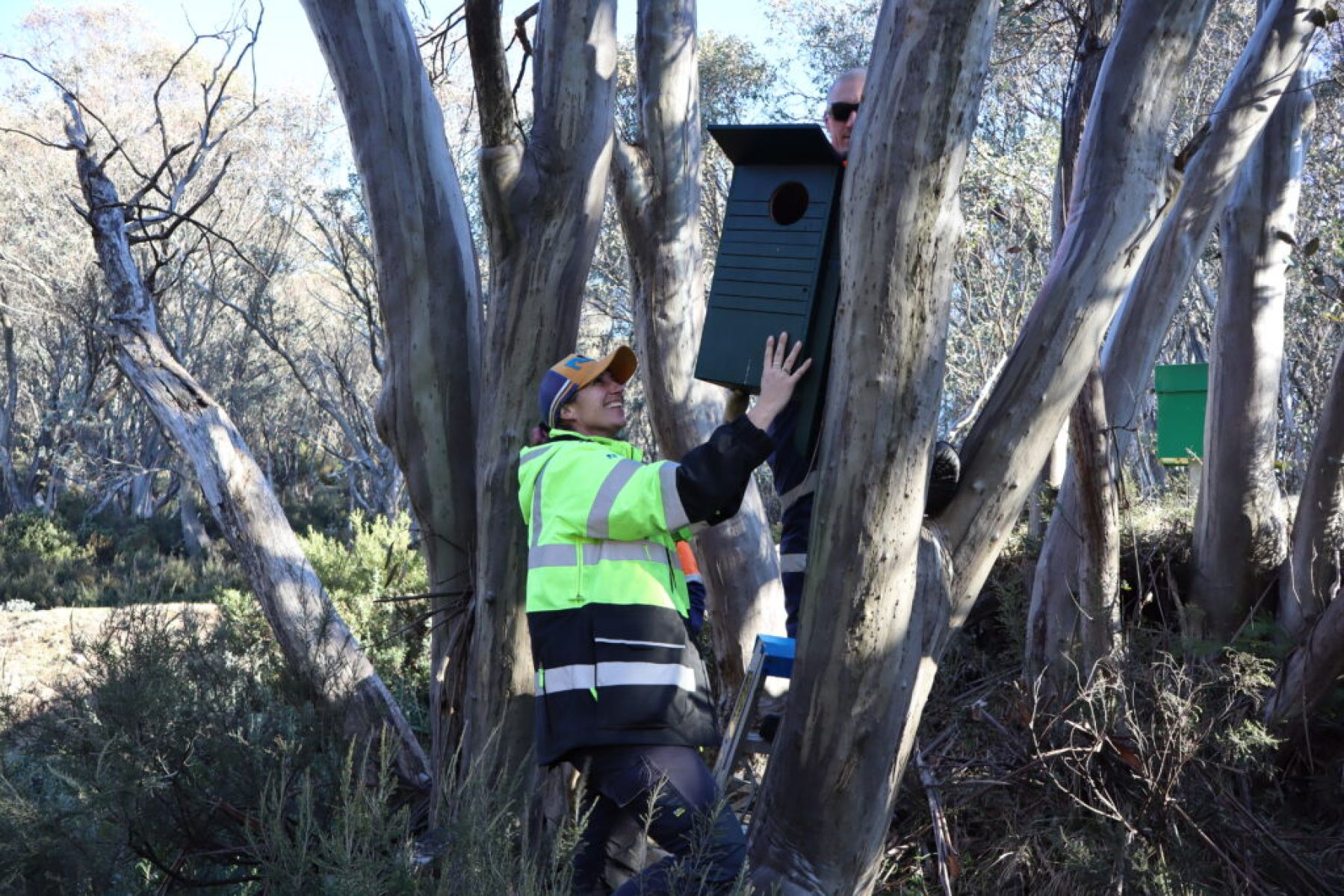 Falls Creek native wildlife homes being installed