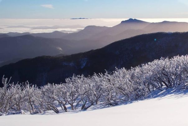 Mt Buller view of Mt Cobbler