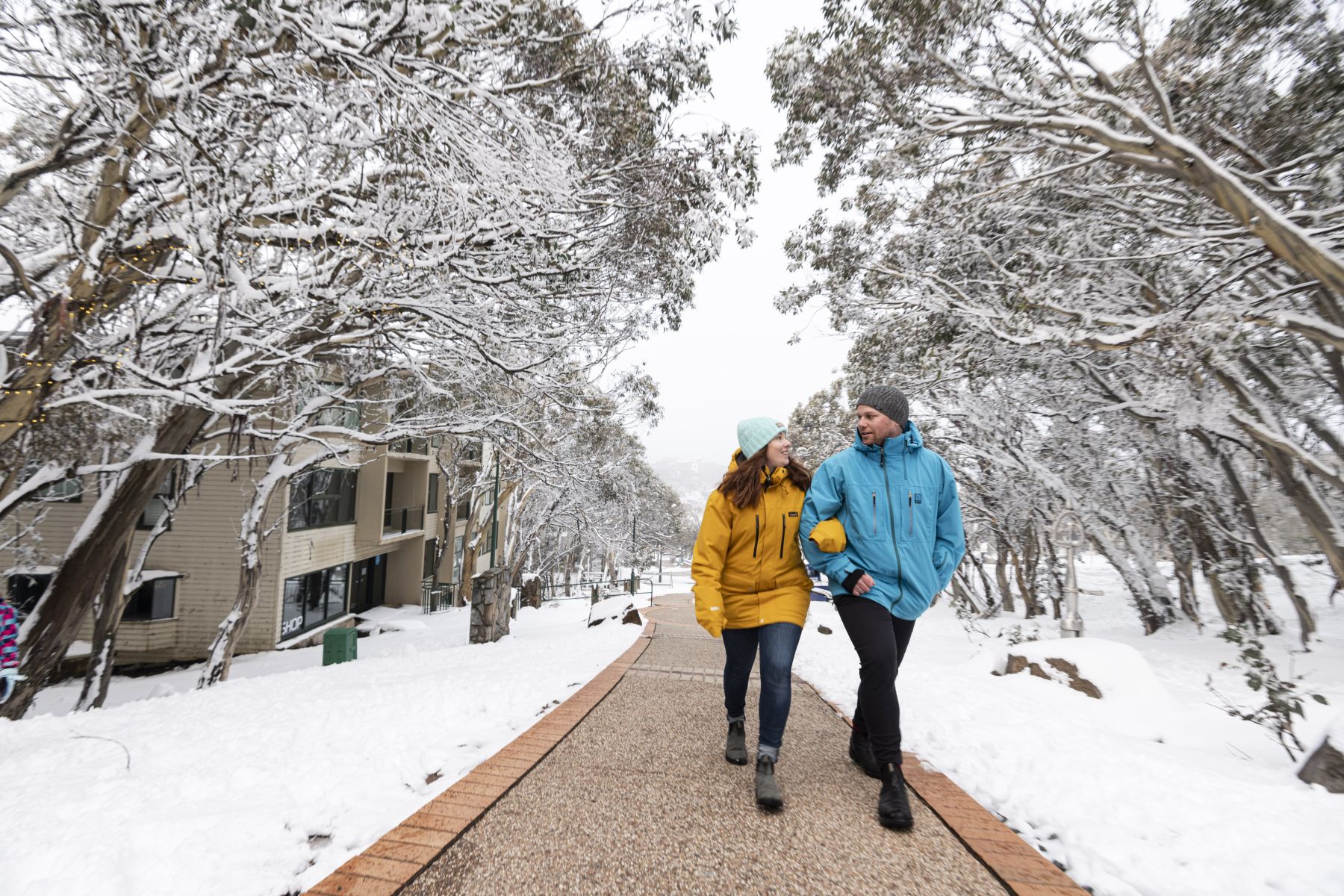 Mt Buller pathway in winter