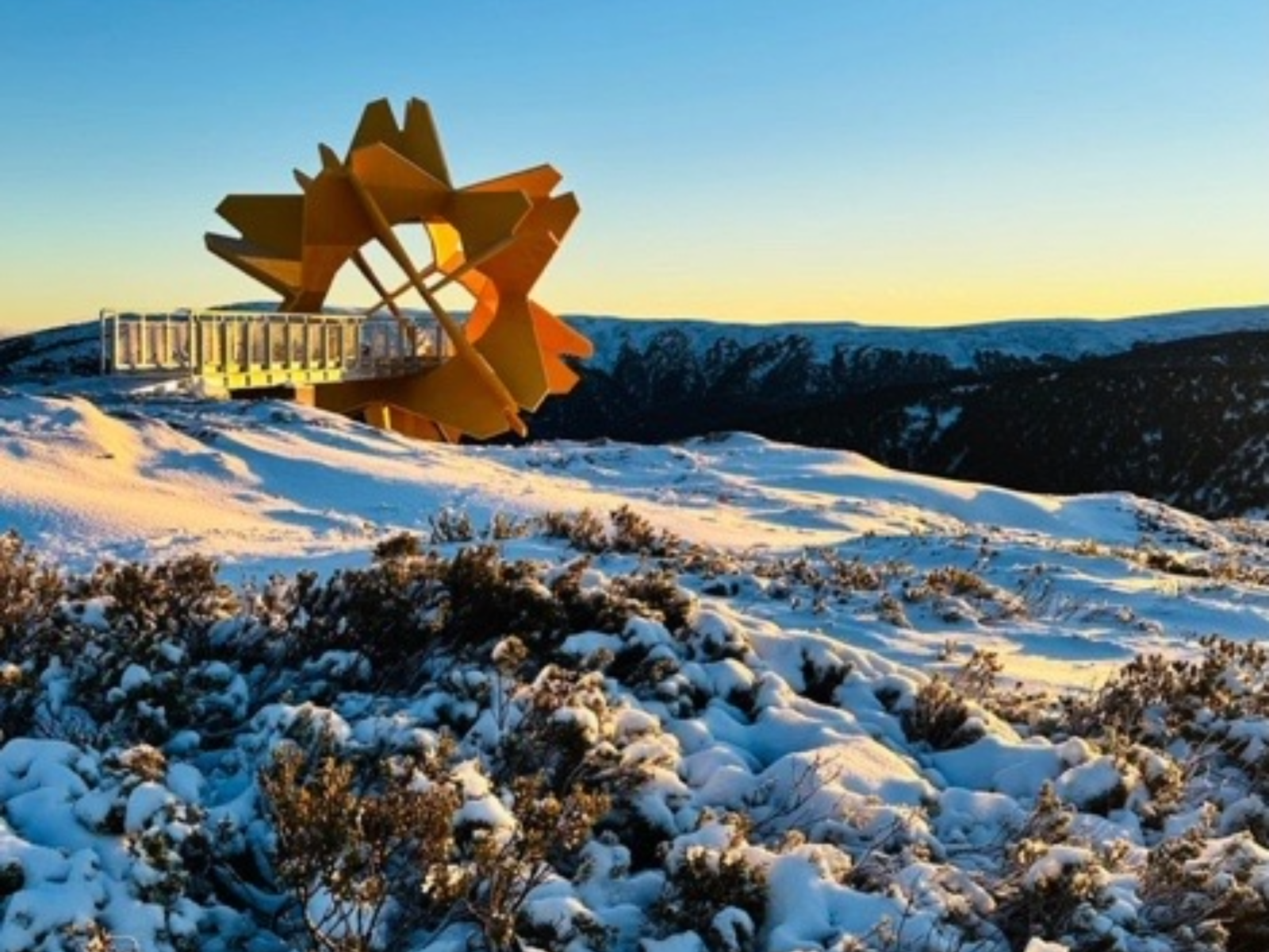 Flower of the Alpine Sun snow 