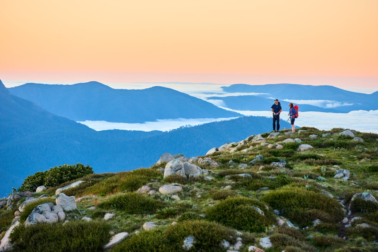 Two hikers standing at the Mount Stirling summit looking over mountain tops in summer