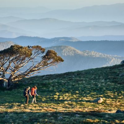 Mt Stirling